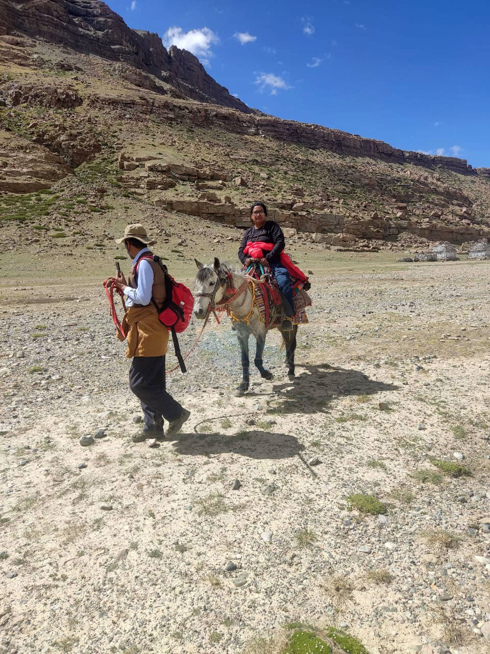 Kailash Yatra Comfort Yaks Ponies