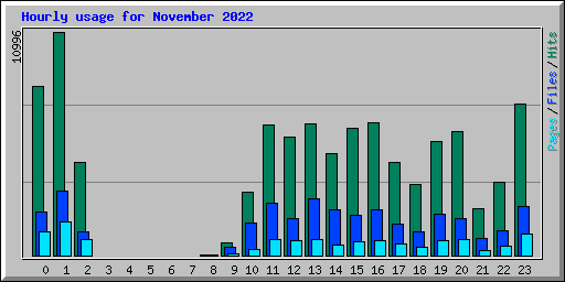 Hourly usage for November 2022