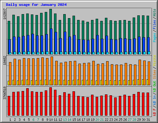 Daily usage for January 2024