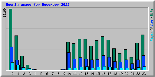 Hourly usage for December 2022
