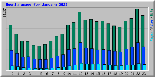 Hourly usage for January 2023